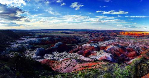 Petrified Forest, Arizona, USA