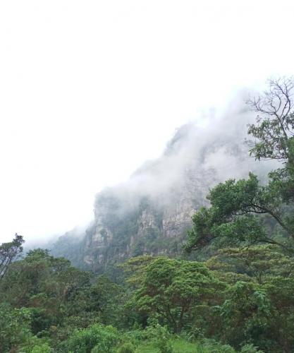 Bosque de niebla Soacha-Colombia