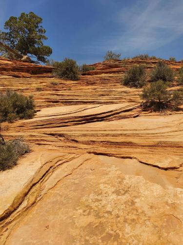 Zion- Mt Carmel Hwy