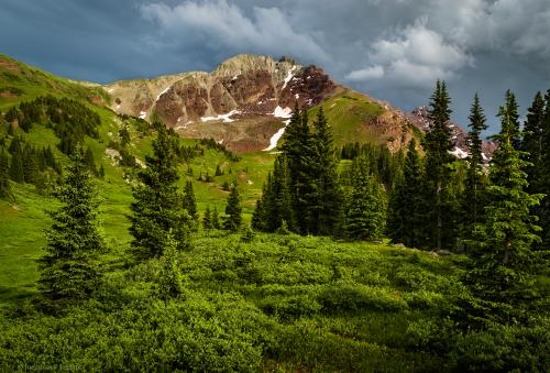 Green wilds in the Rocky Mountains USA