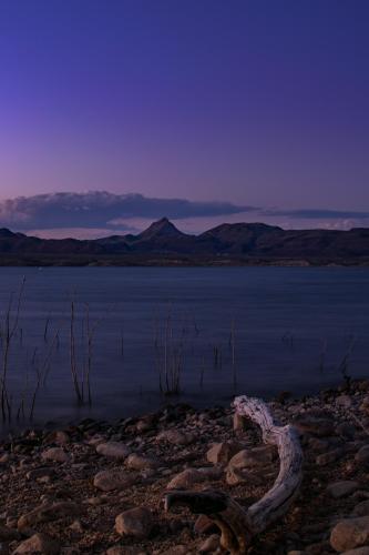 Alamo Lake, Arizona