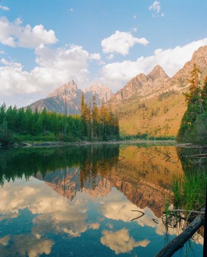 The Tetons in Summer