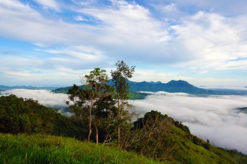 Bengkayang Wild Forest, West Kalimantan, Indonesia