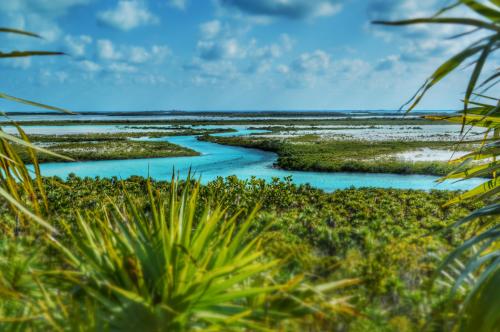 Bahamas backcountry islands | we anchored and had to dingy in using shallow channels followed by a short hike to the top of what seemed like the only hill around