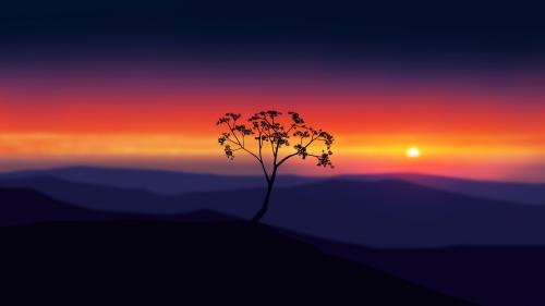 Sunset tree