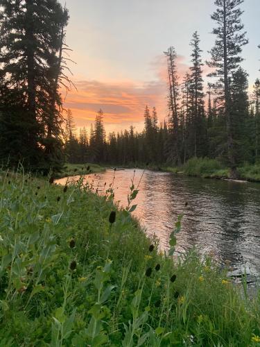 Sunrise at Falls River Cutoff, Yellowstone National Park