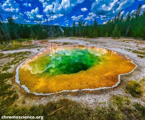 This is the Morning Glory Pool in Yellowstone National Park, Wyoming