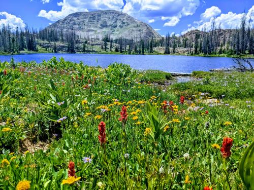 Twin Lake, Uinta Mountains, Utah, USA