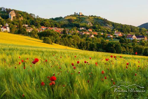 Klentnice, southern Moravia, Czech Republic