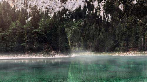 A foggy lake near pine trees
