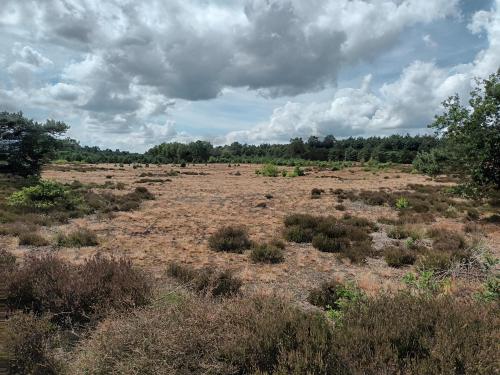 The Veluwe Netherlands