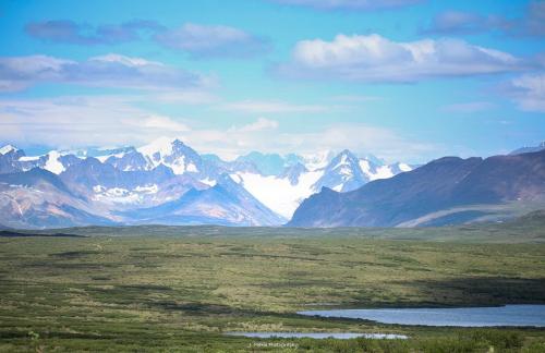 Views off the Denali Highway, AK