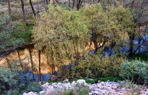 Reflection on Verde River, AZ