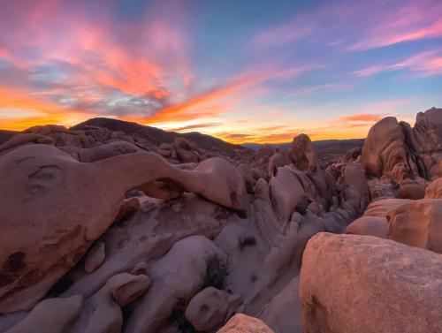 🔥Sunrise at Joshua Tree National Park