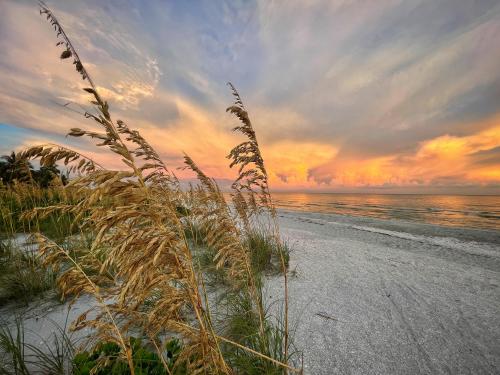 Sanibel Island just over a year ago. Sad to think about what this probably looks like now