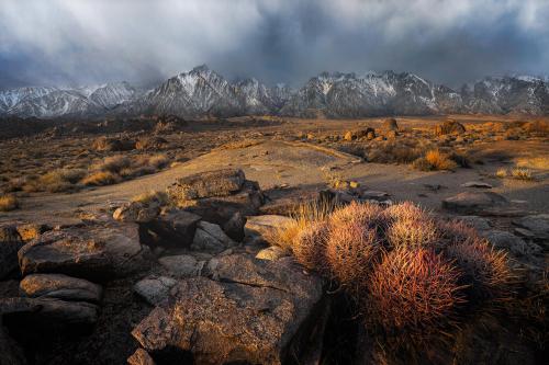 Where the mountains meet the desert in Eastern California.