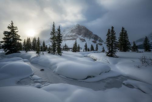 Winter Morning at Bow Lake, Alberta, Canada.