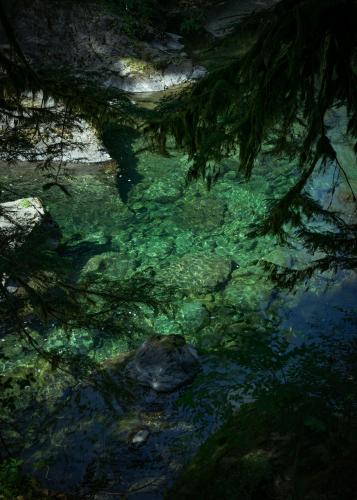 Sol Duc River, Olympic National Park, WA