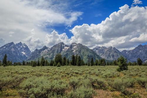 A photo of the Tetons that I took last summer