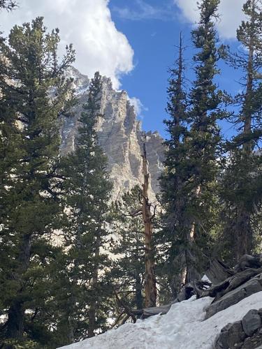 Wheeler Peak, Great Basin NP, NV, USA