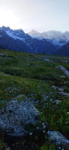 Chukail Meadows, Swat, Pakistan