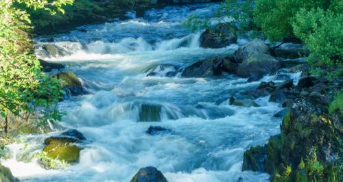 KETCHIKAN RIVER  3236X1723