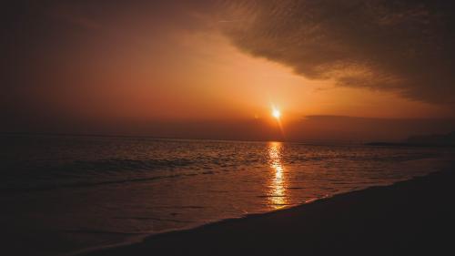 Beach shore during sunset