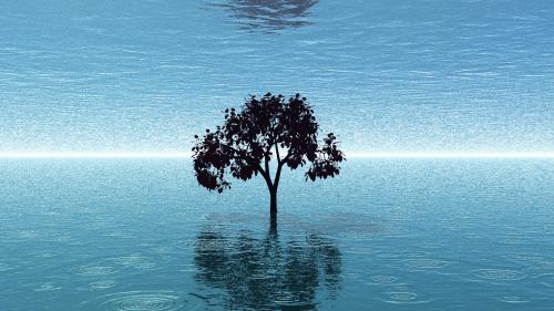 Tree in Water - Old CGI -