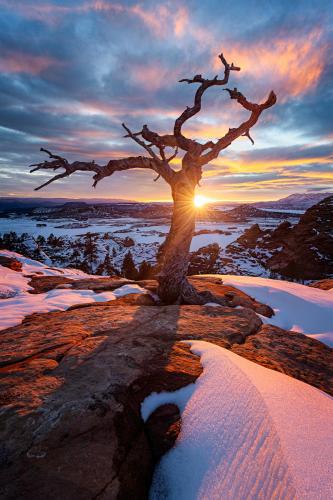 An epic winter sunset from Zion National Park, Utah.
