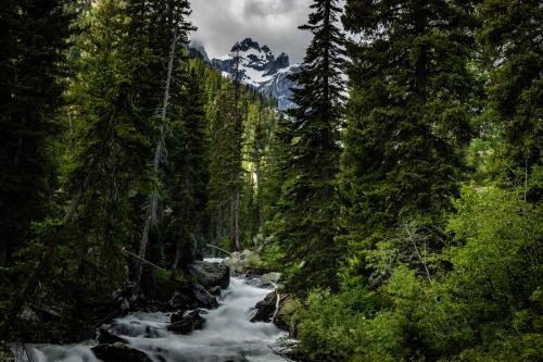 Jenny Lake Trail | Grand Teton National Park