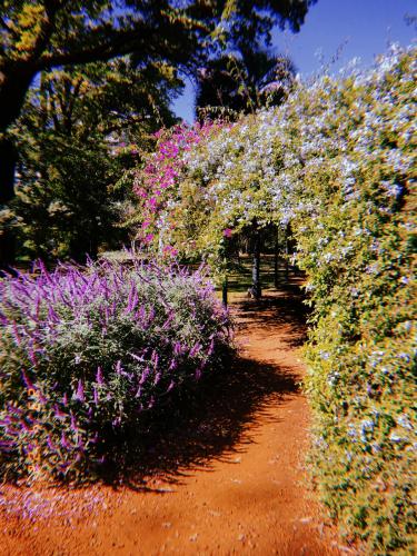 Jardín botánico, Buenos Aires-Argentina