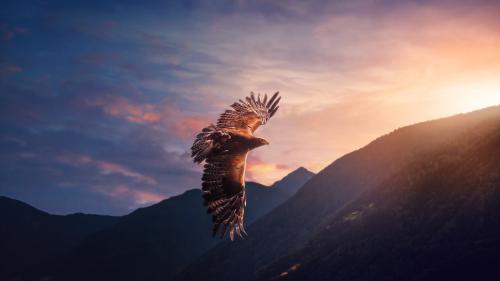 Eagle Soaring Over Mountains