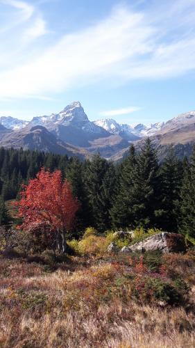 Surses, Swiss Alps