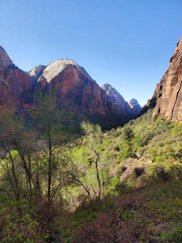 Zion Grotto Trail to Angels Landing