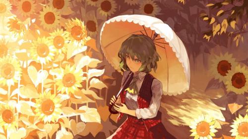 A girl walks in a field of sunflowers