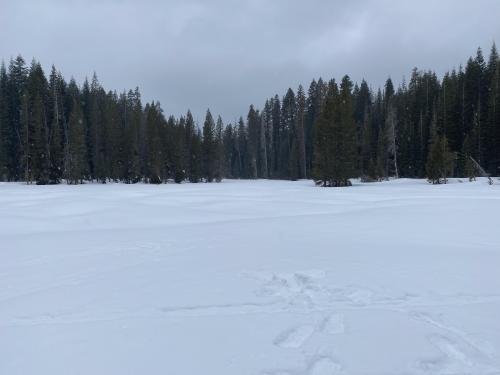 Badger Pass Yosemite National Park