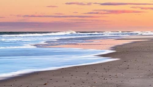 Island Beach state park, NJ