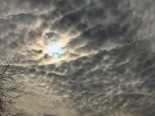 Mammatus clouds??