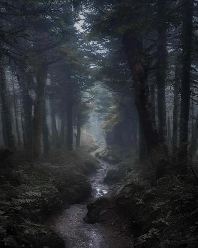 Moody Trails - White Mountains, New Hampshire