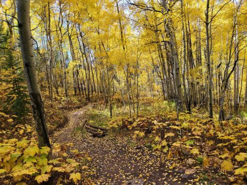 Lionshead Rock Trail, Minturn CO