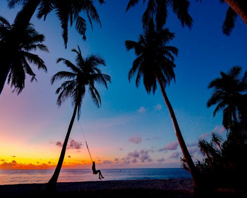 Silhouette Of A Person On A Swing