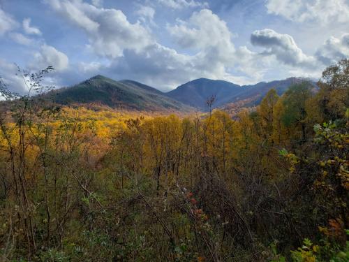 One of my favorite places on earth, Great Smoky Mountains National Park