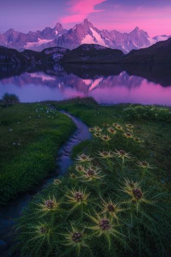 Peaceful morning in the Alps, Switzerland  IG: arpandas_photography_adventure