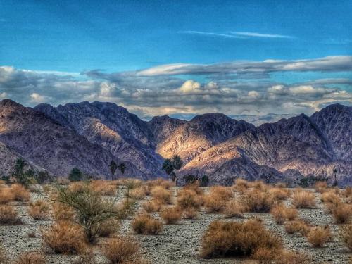 Cove Oasis, La Quinta, California