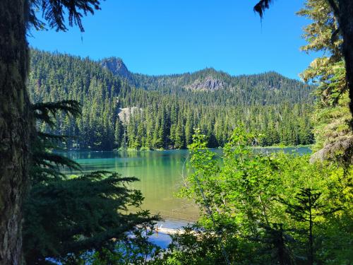 Lake Eleanor, Mt Rainier NP,