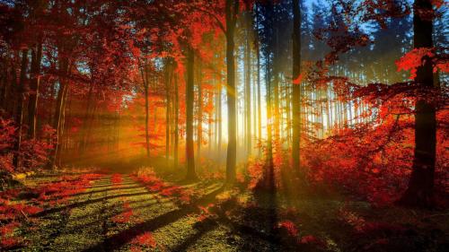 The Difference Between Beautiful And Scary Is Just A Few Hours |