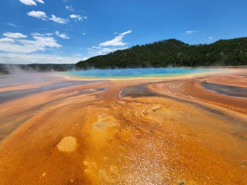 The wonders you'll see at Yellowstone, incredible.