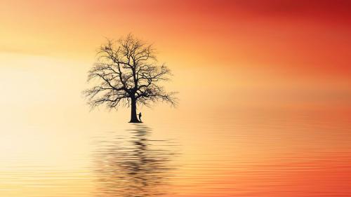 Ocean, tree and me