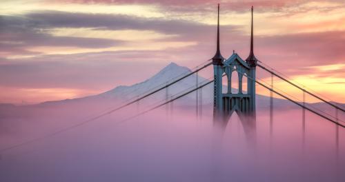 Rising Above the Fog