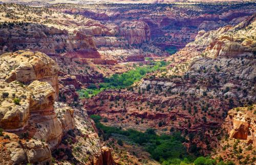 The lush Calf Creek canyon just south of Boulder, Utah